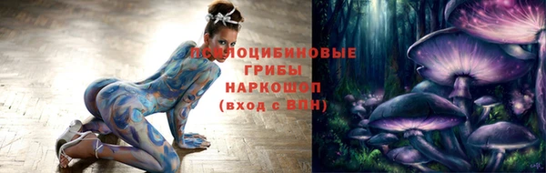 стаф Белокуриха