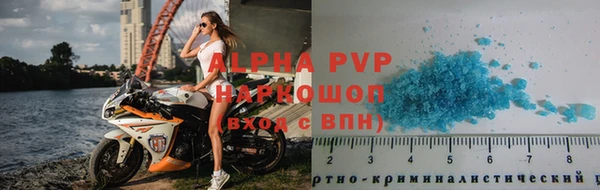 стаф Белокуриха