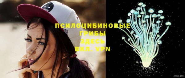стаф Белокуриха