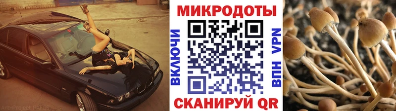 Галлюциногенные грибы Psilocybe  гидра tor  Павловск 